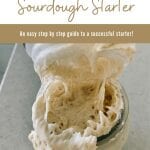 Making a sourdough starter - step by step guide