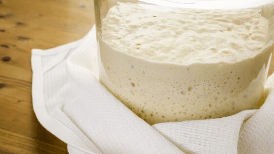 Zero Waste Guide to Sourdough Discard: 21 Interesting Ways to Unfed Starter