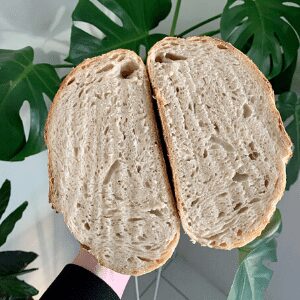 Sourdough bread problems - sourdough cut too soon.