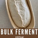 Cold Ferment vs Bulk Ferment