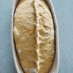 Pumpkin sourdough bread batard