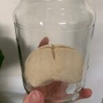 Converting sourdough starter to pasta madre