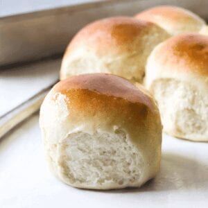 SOURDOUGH DINNER ROLLS RECIPE
