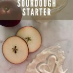 APPLE SOURDOUGH STARTER