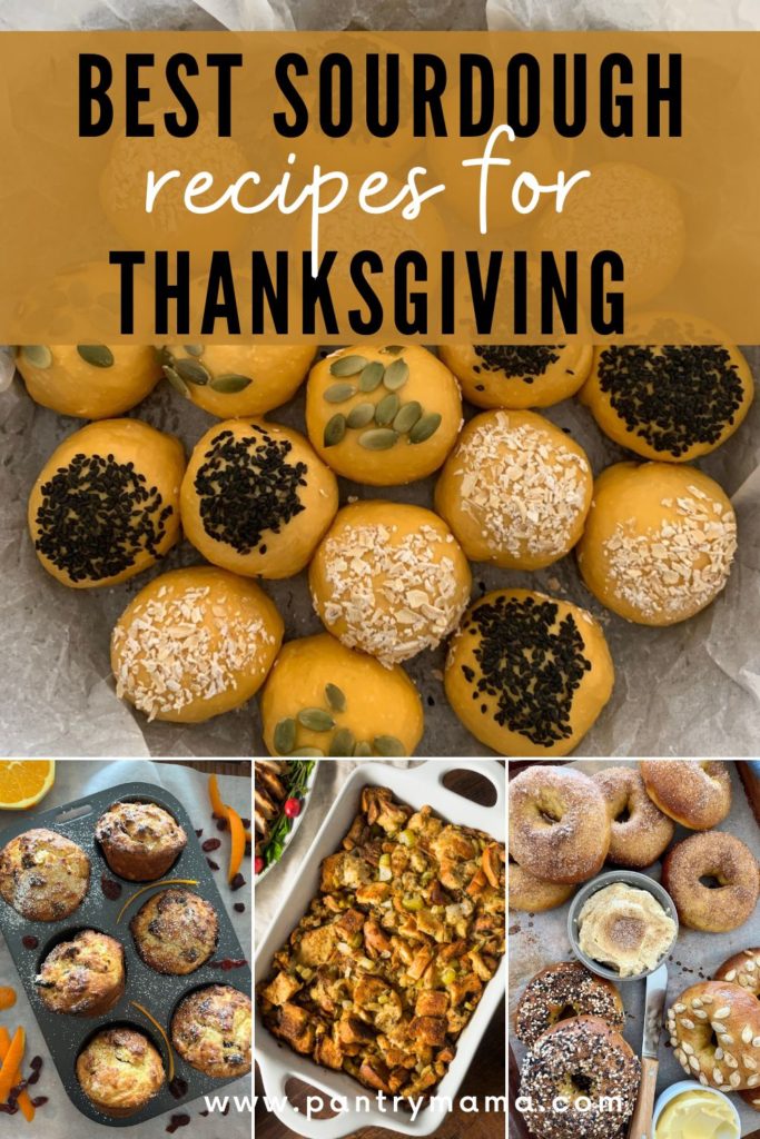 BEST SOURDOUGH THANKSGIVING RECIPES - PINTEREST IMAGE
