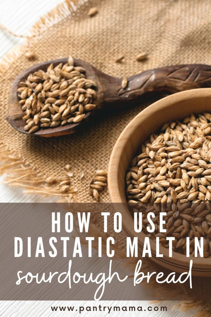HOW TO USE DIASTATIC MALT POWDER IN SOURDOUGH BREAD