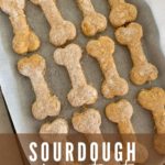SOURDOUGH DOGGIE TREATS PINTEREST
