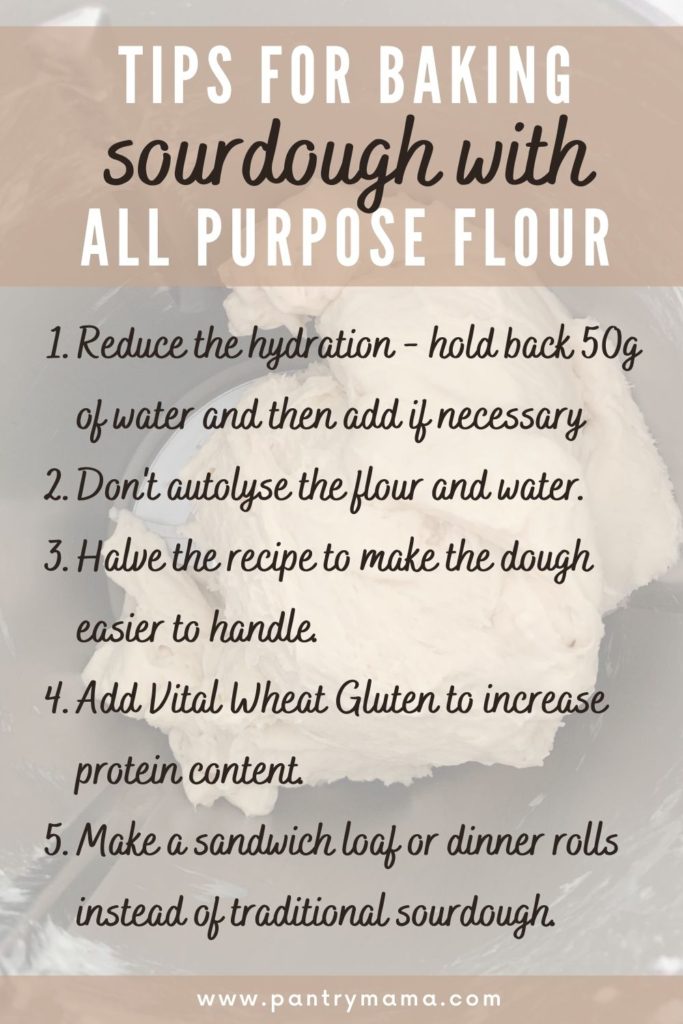 All purpose flour vs bread flour sourdough