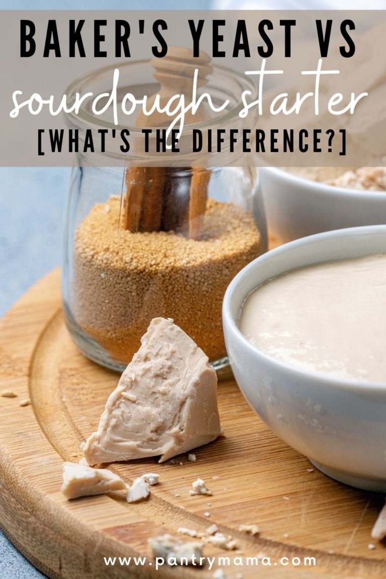YEAST VS SOURDOUGH STARTER - WHATS THE DIFFERENCE - PINTEREST IMAGE