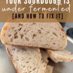 Under Fermented Sourdough - Pinterest Image