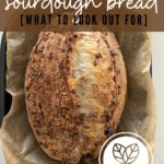 IS SOURDOUGH BREAD VEGAN? PINTEREST IMAGE