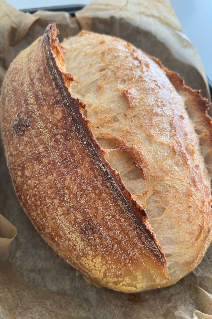 Loaf of sourdough bread sitting on brown parchment paper. The loaf has a large belly and a strong crust.