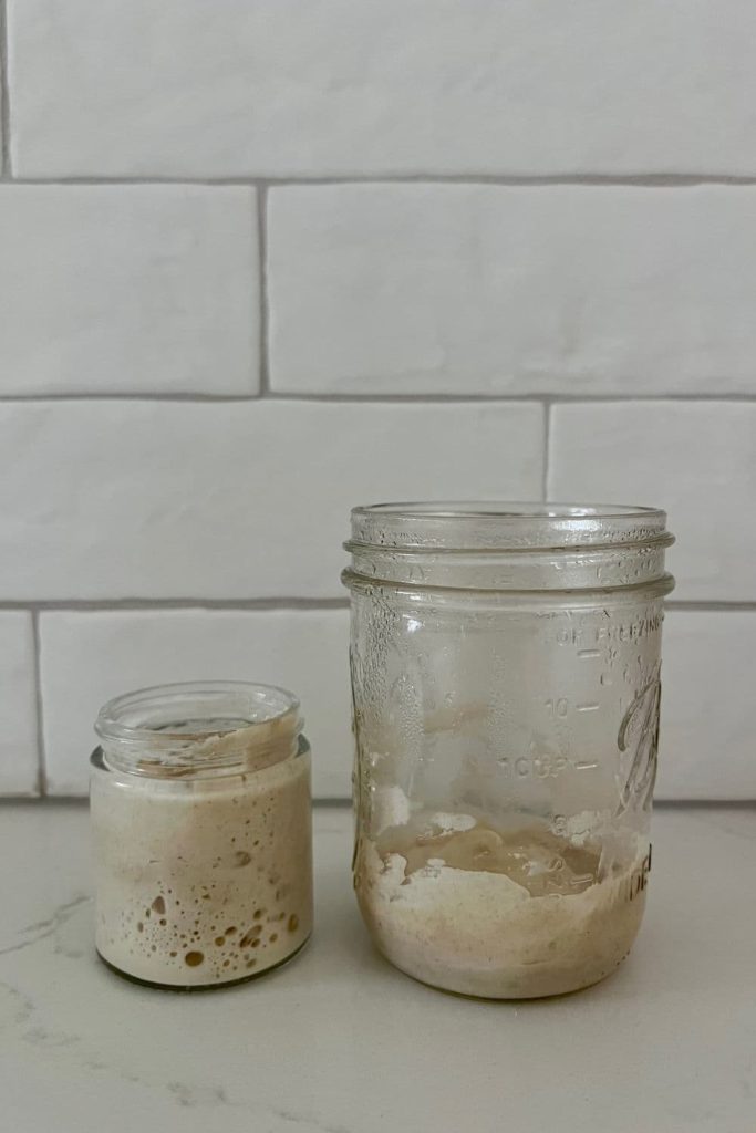 How to make a small sourdough starter - This photo shows two smaller sourdough starters, both weighing in at 60g each - but one is in a 120 ml jar and one is in a 400 ml jar.