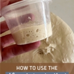 ALIQUOT JAR METHOD FOR SOURDOUGH BREAD - Pinterest Image