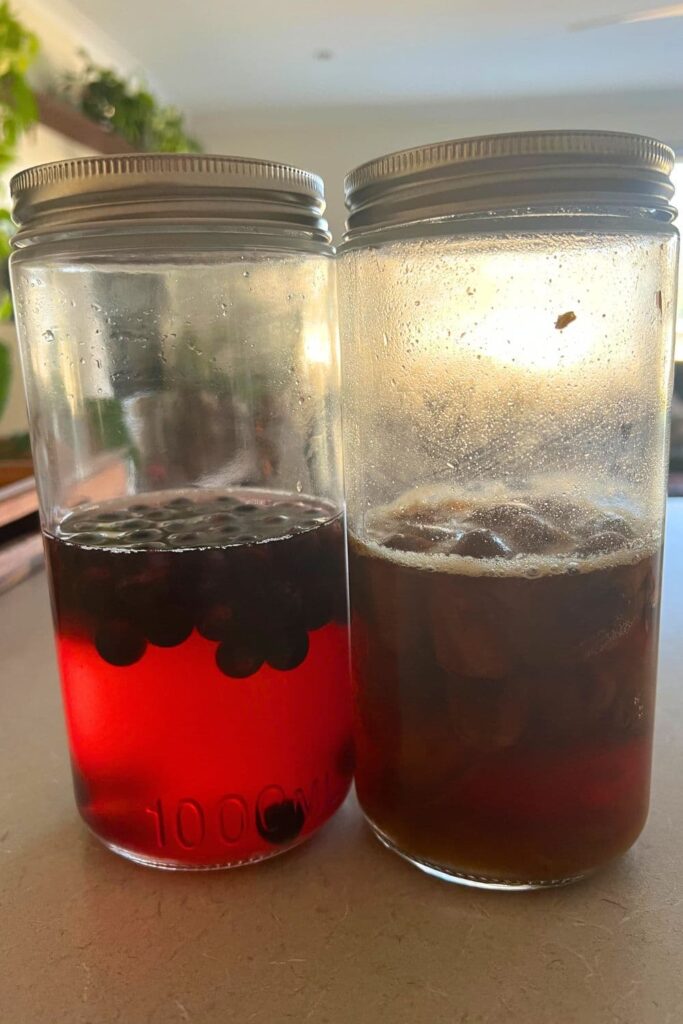 Two large glass jars sitting side by side. Each jar contains yeast water. The left jar contains blueberries and the yeast water is a dark pink color. The jar on the right contains raisins and the yeast water is a dark brown. Both jars have little bubbles on the top of the liquid.