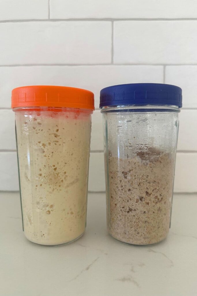 Two jars of sourdough starter sitting side by side. The one of the left has been made with white flour and has an orange lid. The one of the right has been fed with dark rye flour and has a dark blue lid.