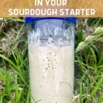 HOW TO INCREASE WILD YEAST IN SOURDOUGH STARTER - PINTEREST IMAGE