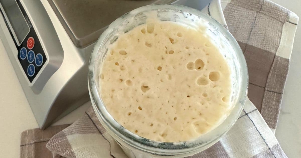 A jar of sourdough starter sitting on a checked napkin.