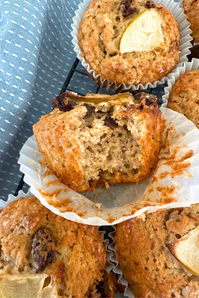 Close up photo of a sourdough applesauce muffin with a bite taken out of it so that you can see the crumb inside.