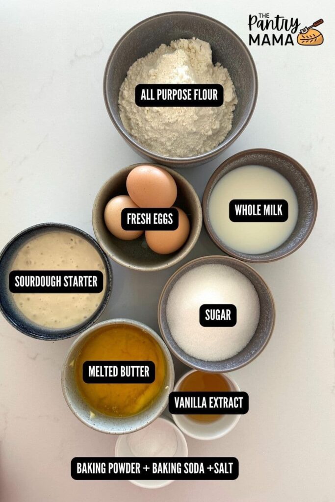 Flat lay of ingredients necessary to make sourdough vanilla sheet cake.