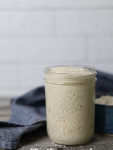 Warm sourdough starter in a 1 pint Ball canning jar.