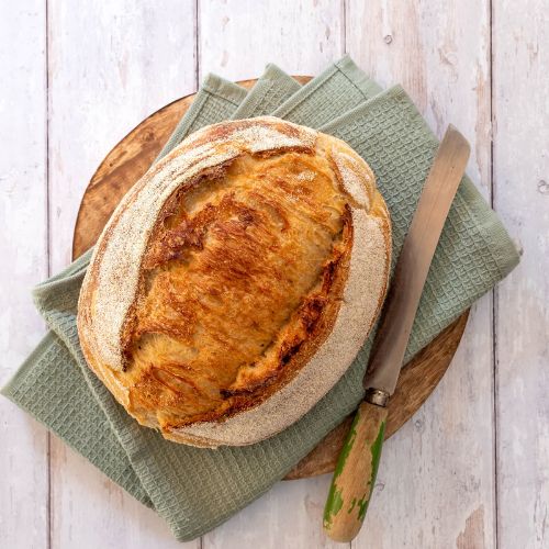 Loaf of savory sourdough bread on a cutting board with a bread knife.